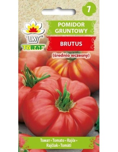 Pomidor gruntowy wysoki Brutus 0,5g