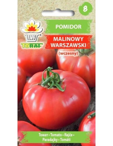 Pomidor gruntowy wysoki Malinowy Warszawski 0,5g