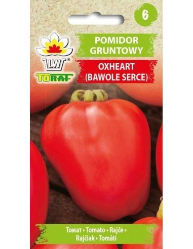 Pomidor gruntowy wysoki Oxheart - Bawole Serce 0,5g