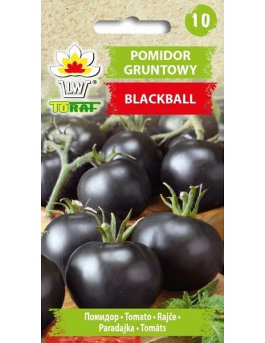 Pomidor gruntowy koktajlowy Blackball 0,3g