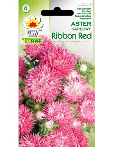 Aster chiński karłowy Ribbon Red 0,5g