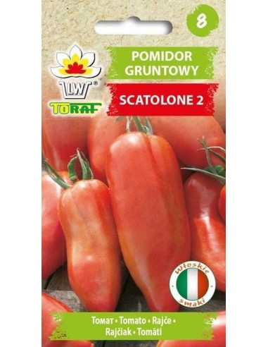 Pomidor gruntowy wysoki Scatolone 2 0,5g