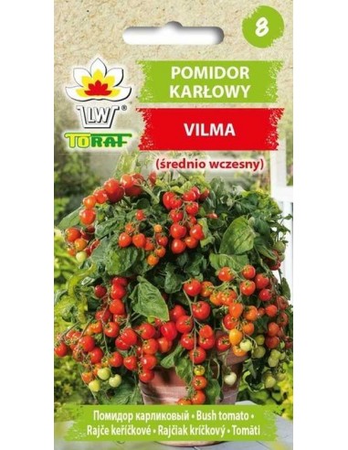 Pomidor gruntowy koktajlowy Vilma 0,3g