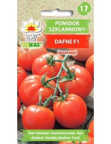 Pomidor pod osłony Dafne F1 0,2g