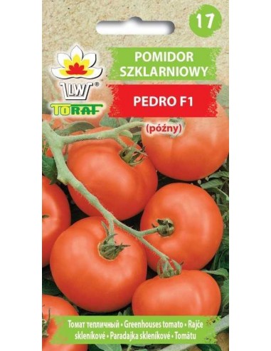 Pomidor pod osłony Pedro F1 0,2g