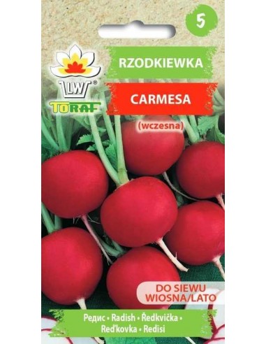 Rzodkiewka Carmesa 10g