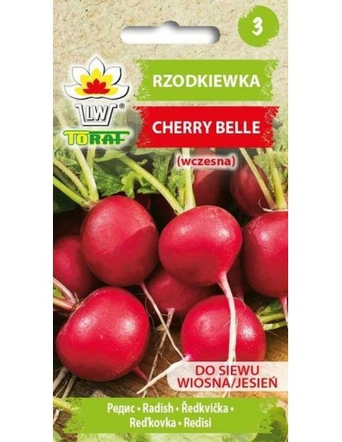 Rzodkiewka Cherry Belle 10g