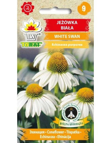 Jeżówka biała White Swan 0,3g