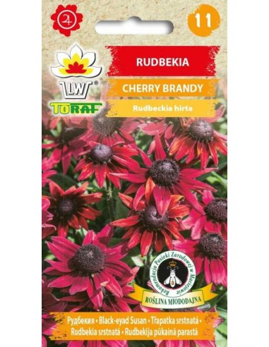 Rudbekia Cherry Brandy 0,1g
