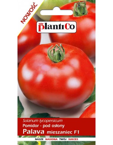 Pomidor pod osłony Palava F1 0,1g