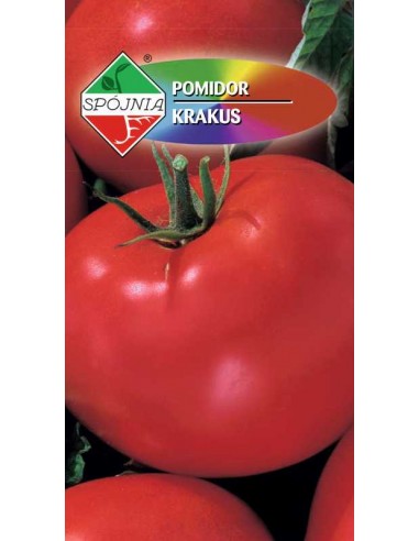 Pomidor gruntowy wysoki Krakus 0,5g