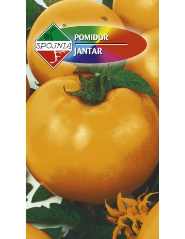 Pomidor gruntowy wysoki żółty Jantar 0,5g