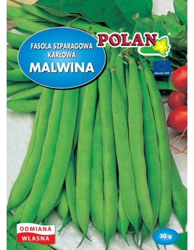 Fasola szparagowa karłowa zielona Malwina 30g