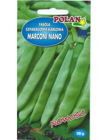 Fasola szparagowa karłowa zielona Marconi Nano 20g