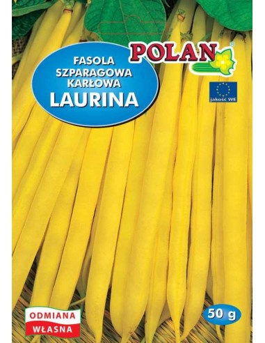 Fasola szparagowa karłowa żółta Laurina 50g