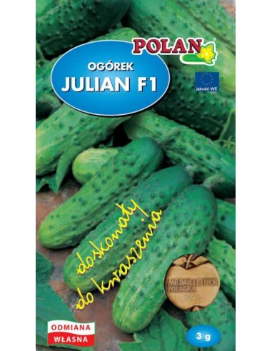 Ogórek gruntowy Julian F1 3g