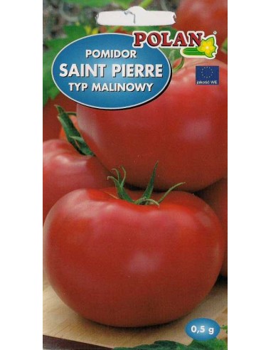 Pomidor gruntowy wysoki Saint-Pierre 0,5g