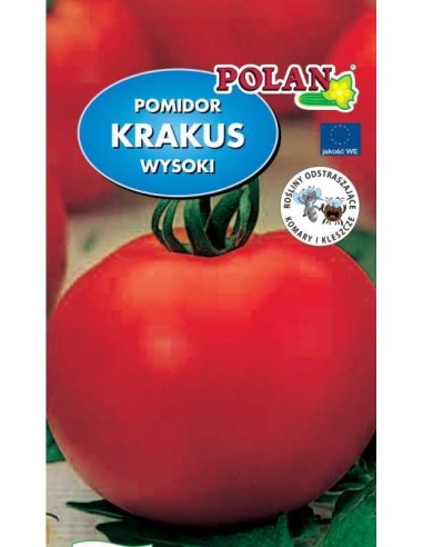 Pomidor gruntowy wysoki Krakus 10g