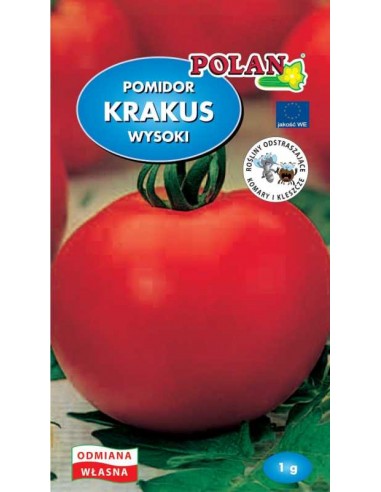 Pomidor gruntowy wysoki Krakus 1g