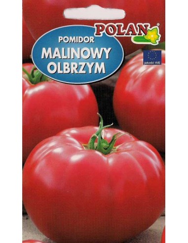 Pomidor gruntowy wysoki Malinowy Olbrzym 0,5g