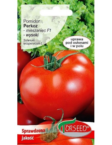Pomidor pod osłony Perkoz F1 0,5g