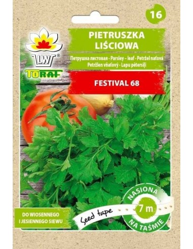 Pietruszka naciowa Festival 68 na taśmie 7m