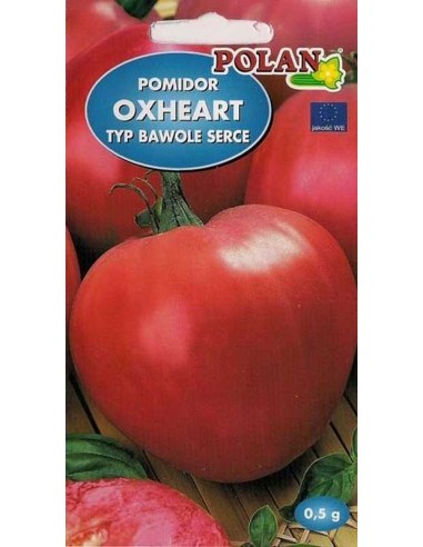 Pomidor gruntowy wysoki Bawole Serce 0,5g