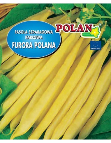 Fasola szparagowa karłowa żółta Furora Polana 25g