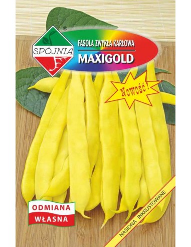 Fasola szparagowa karłowa żółta Maxigold 30g