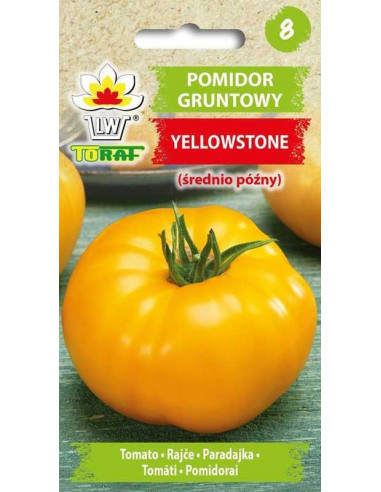 Pomidor gruntowy wysoki żółty Yellowstone 0,3g