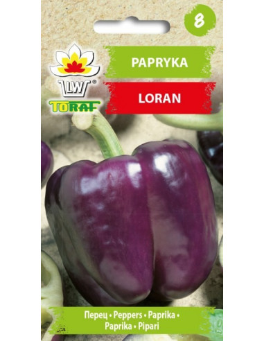 Papryka słodka fioletowa Loran 0,3g
