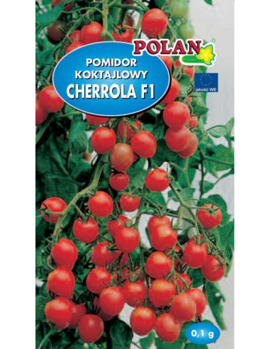 Pomidor gruntowy koktajlowy Cherrola F1 0,1g