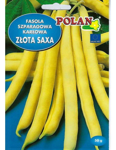 Fasola szparagowa karłowa żółta Złota Saxa 50g