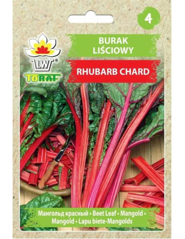 Burak liściowy Rhubarb Chard 5g