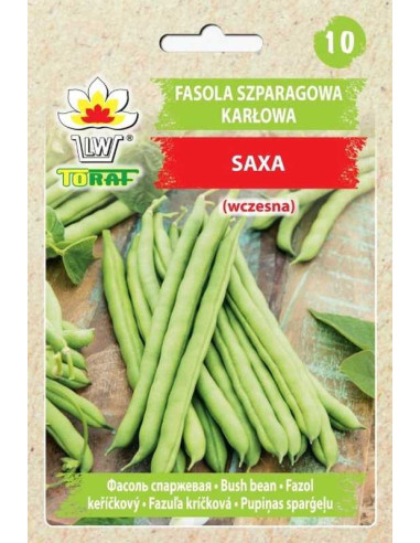 Fasola szparagowa karłowa zielona Saxa 30g