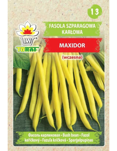 Fasola szparagowa karłowa żółta Maxidor 30g
