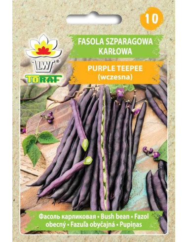 Fasola szparagowa karłowa fioletowa Purple Teepee 30g