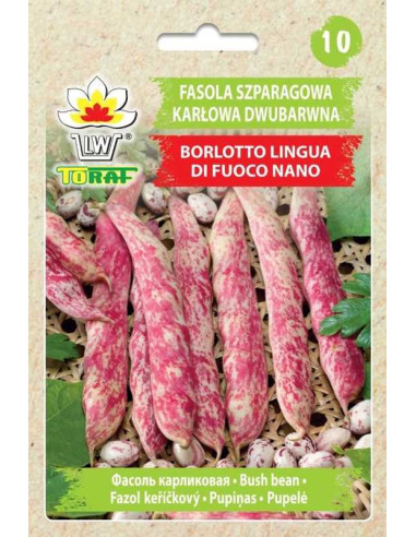 Fasola szparagowa karłowa dwubarwna Borlotto Lingua Di Fuoco Nano 30g