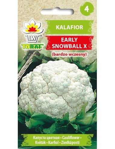 Kalafior Early Snowball X 1g