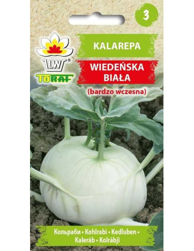 Kalarepa Wiedeńska Biała 2g