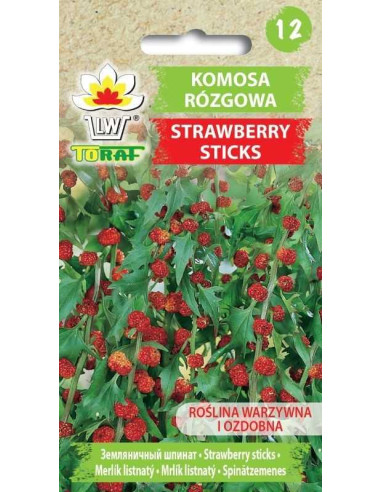 Komosa rózgowa Strawberry Sticks 0,1g