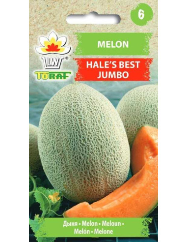 Melon Hele's Best Jumbo 1g