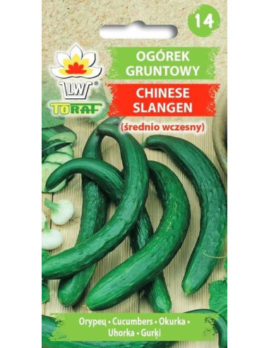 Ogórek gruntowy sałatkowy Chinese Slangen 5g