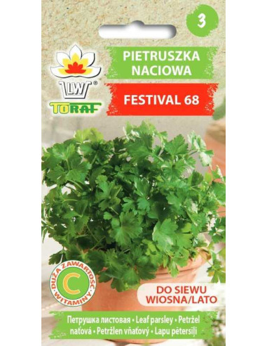 Pietruszka naciowa Festival 68 5 g