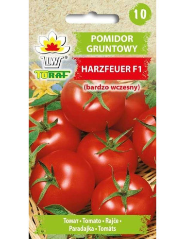 Pomidor gruntowy karłowy Harzfeuer F1 0,5g