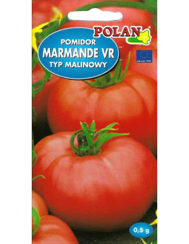 Pomidor gruntowy wysoki Marmande 0,5g