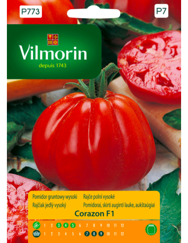 Pomidor gruntowy wysoki Corazon F1 0,1g