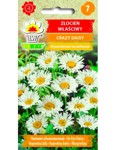 Złocień właściwy Crazy Daisy 0,2g
