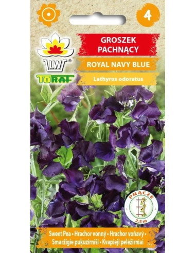 Groszek pachnący Royal Navy Blue 1g