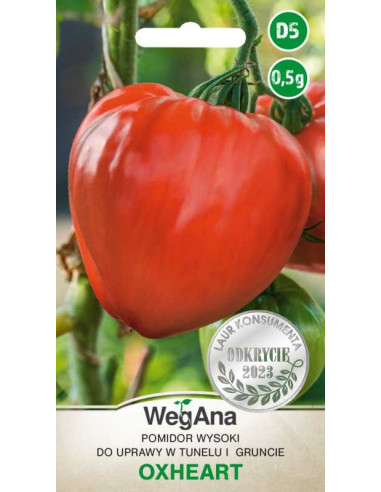 Pomidor gruntowy wysoki Oxheart Bawole Serce 0,5g